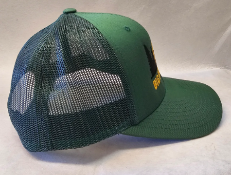 Green Sunset Bear