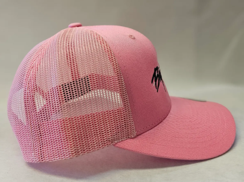 Pink Big Bear and Mountain
