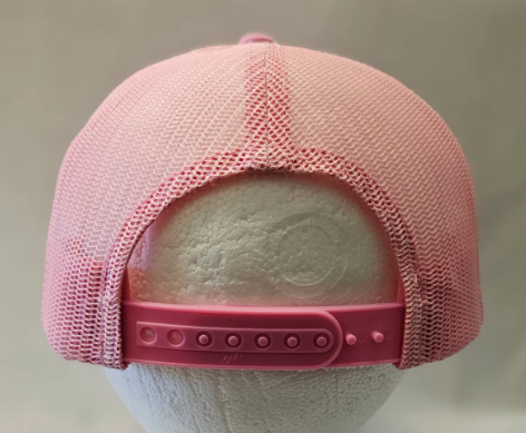 Pink Big Bear and Mountain