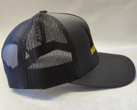 Dark Grey/Black Sunset Bear